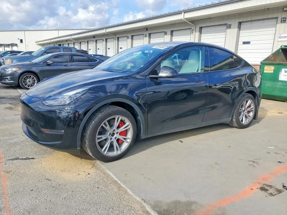 2024 Tesla Model Y
