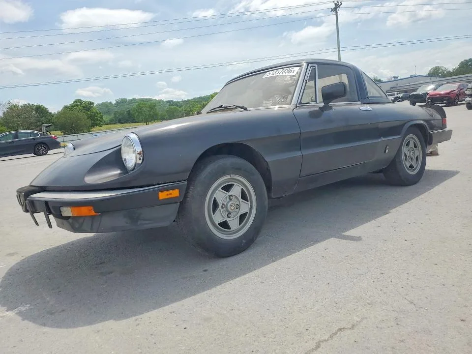 1984 Alfa Romeo Veloce