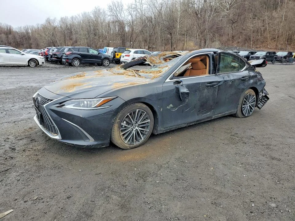 2024 Lexus Es 350