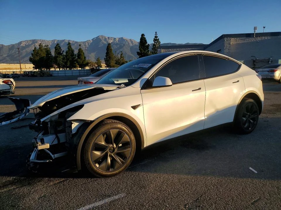 2025 Tesla Model Y