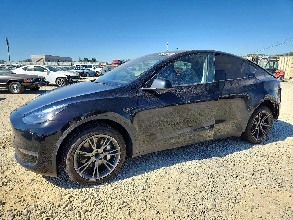 2025 Tesla Model Y