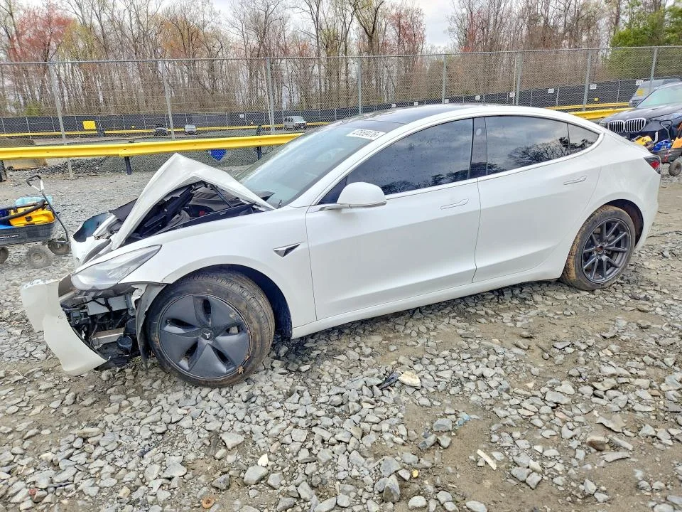 2019 Tesla 3