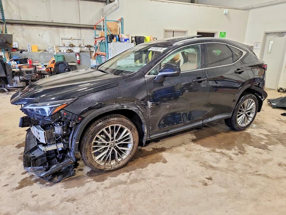2025 Lexus Nx 350