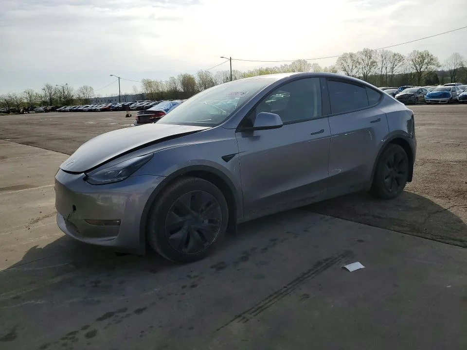 2024 Tesla Model Y