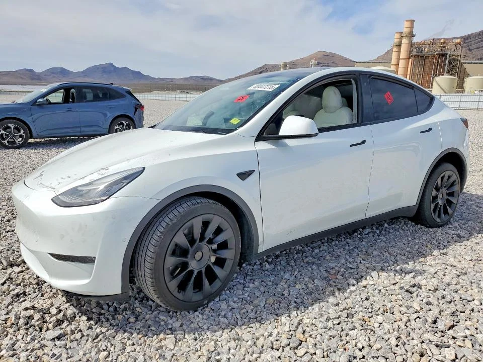 2020 Tesla Model Y