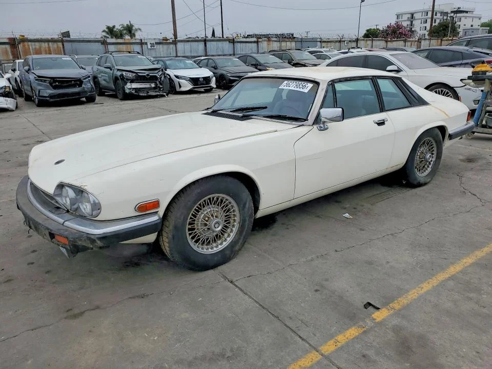 1984 Jaguar Xjs