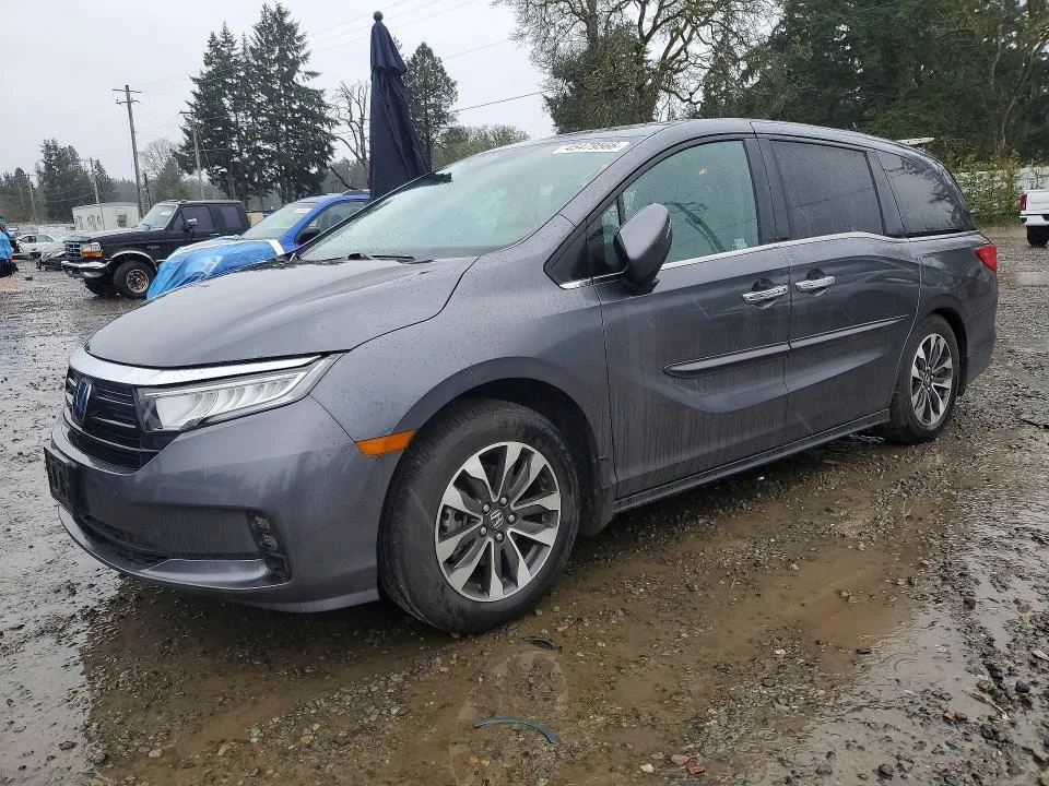 2023 Honda Odyssey