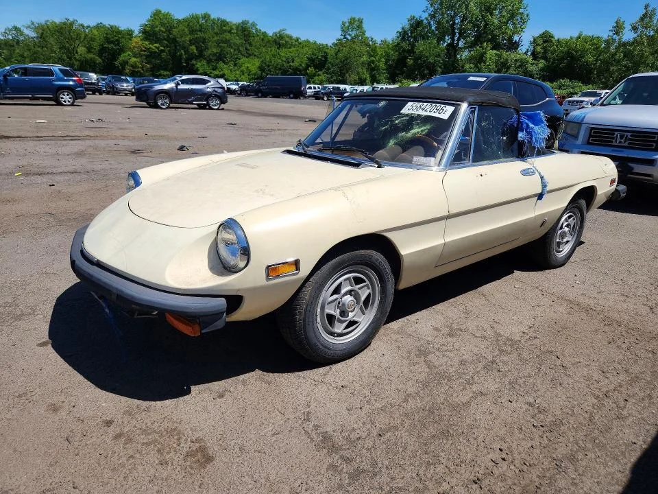 1995 Alfa Romeo Spider