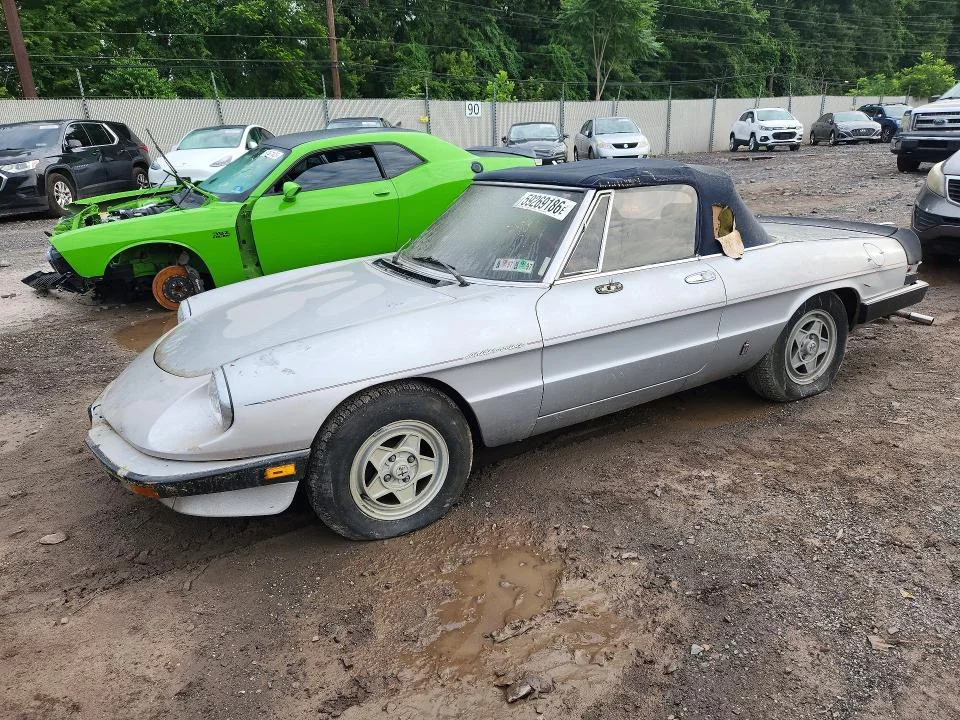 1988 Alfa Romeo Spider