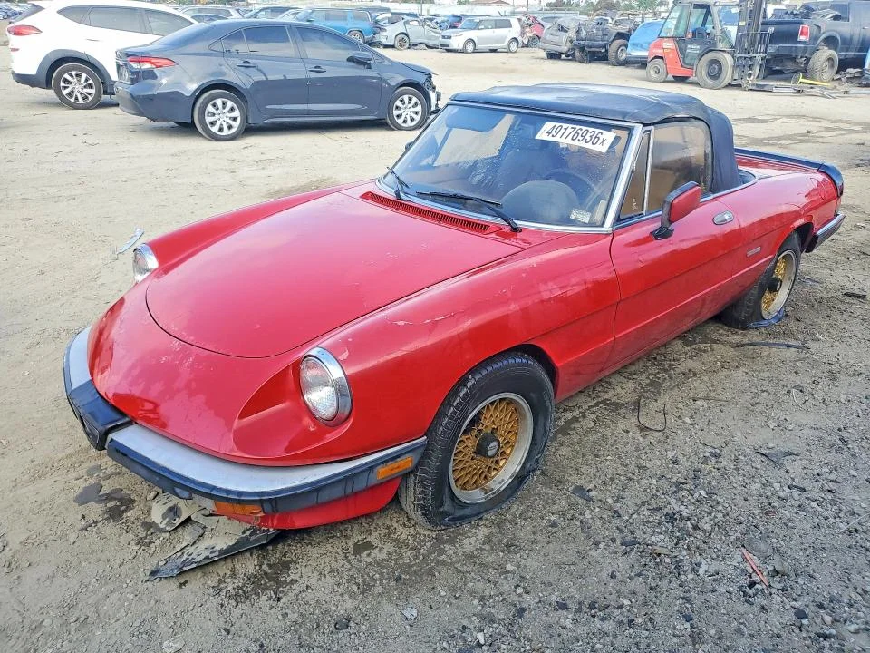 1988 Alfa Romeo Spider